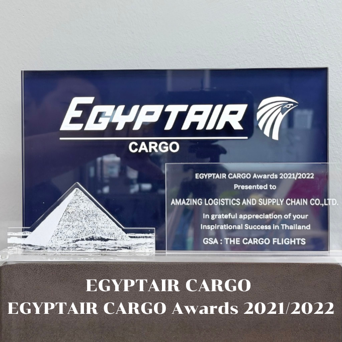 EGYPTAIR 2021-2022