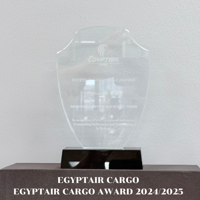 EGYPTAIR 2024-2025
