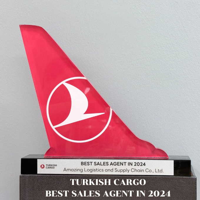 turkish cargo 2024